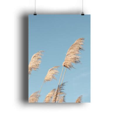 Gräser im Wind - DIN A1 Poster (hochformat)-3